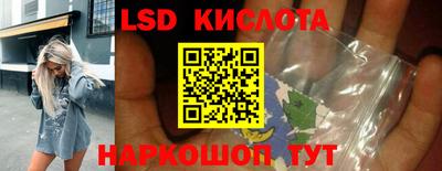 стаф Можга