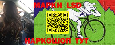 стаф Можга