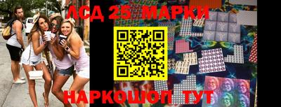 стаф Можга