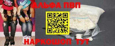 стаф Можга