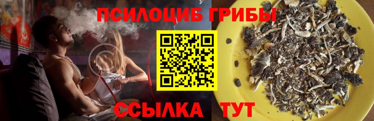 Черняховск  Галлюциногенные грибы Psilocybine cubensis  Вход с VPN  где купить наркоту  Псилоцибиновые грибы ЛСД 