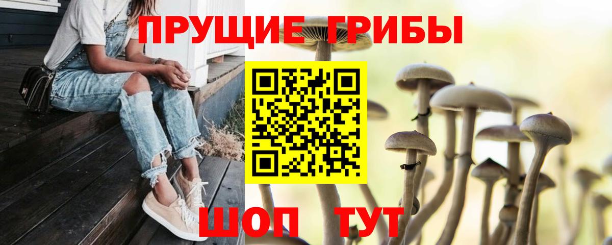 Галлюциногенные грибы мухоморы Черняховск